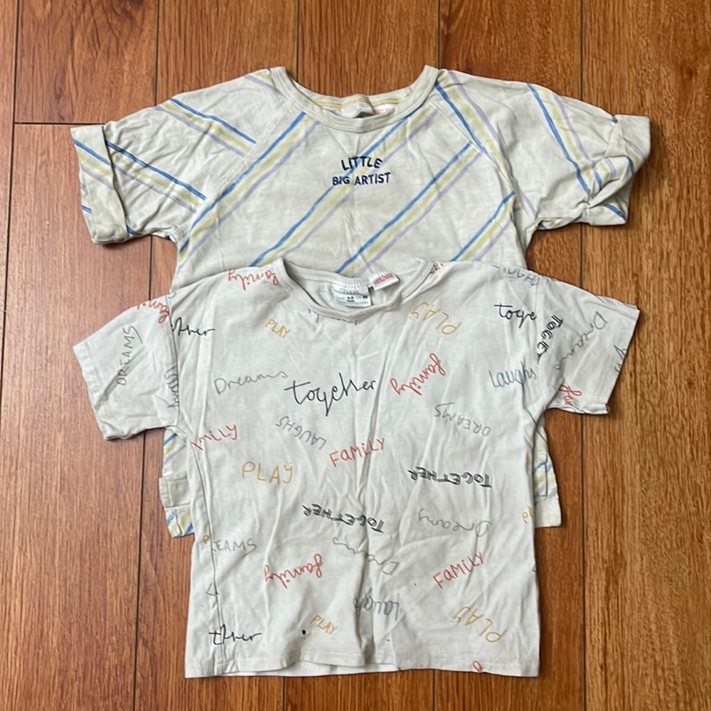 Two Zara T Shirts